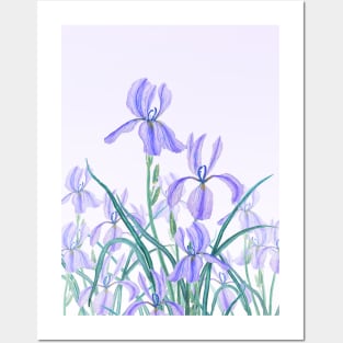 purple iris in purple background Posters and Art